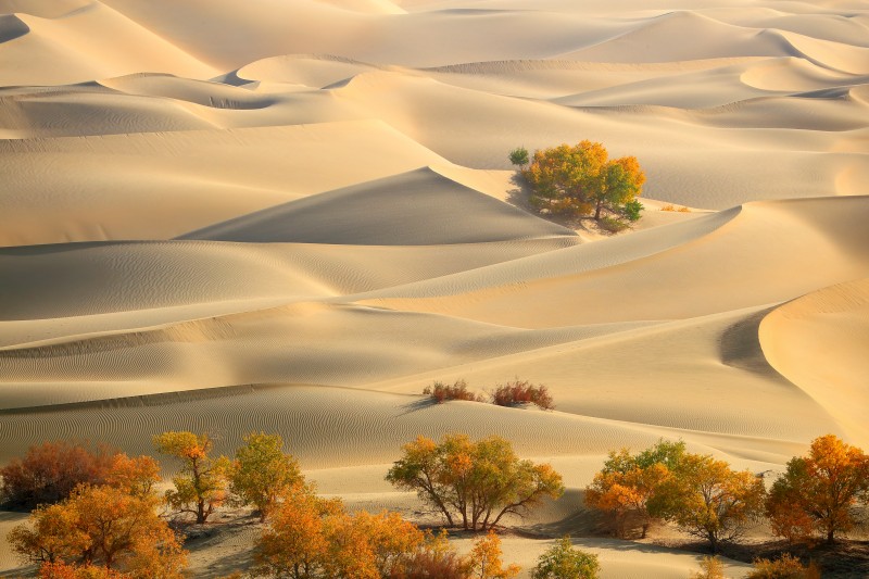 8-Day Silk Road Real Tour